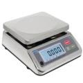 Industrial balances