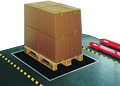 Pallet weighing Scales.