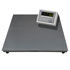 Verifiable Floor Scales without ramp, weight range up to 6000 kg, optional display and interface.
