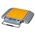 Calibrated silo scales RW series with weighing range up to 10 t per measuring pallet, resolution above 2 kg, 20 hours battery operation