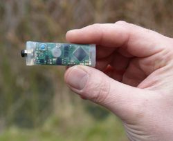 An image illustrating the actual size of the PCE-MSR145W data logger.