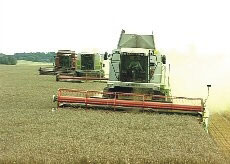 Professional Moisture Meter for grain FS-2000: Harvesting