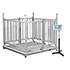 Industrial Balances up to 1,500kg, 0.5 kg, RS-232, four gates.