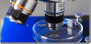 Laboratory Equipment: Microscopy