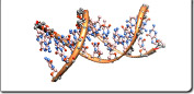 Nuclear Magnetic Resonance Spectroscopy