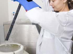 Stirring Technology helps with the analysis of samples