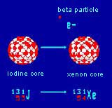 Geiger Counters: Alpha and Beta radiation.