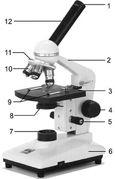 Parts of Microscopes.