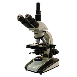 Trinocular Microscopes