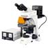 fluorescence microscopes up to 1000-fold magnification