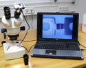 The TM series of Microscopes in use.