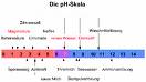 pH Meters metric.