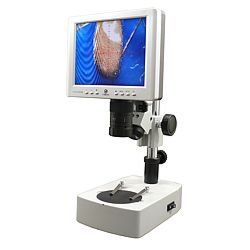 Digital Video Microscopes