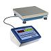 Calibratable Controlling Scales 3590 series for 76/220/CEE directives
