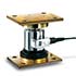 Calibratable controlling scales WBK load cells series with lightning arrester