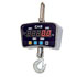 Crane Scales CAS IE-1700-300 maximum load 300 kg, resolution 100 g, shackle and hook included, with wireless remote control