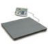KERN scales BFS Series: weighing range up to 3.000 kg, min. resolution 200 g, platform 1500 x 1250 mm, counting display, RS-232