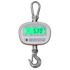 Digital Weighing Hooks, solid, calibrated, weight range up to 300 kg, with remote control.