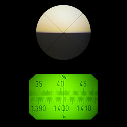 The measurement values of the Abbe refractometer are indicated well