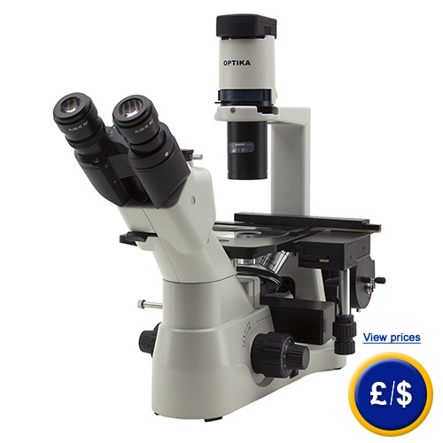 Fluorescence Microscope XDS-3FL