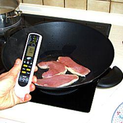 food thermometer PCE-IR 100: Applications of use