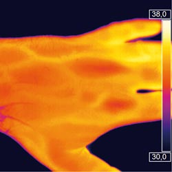 Infrared Camera PCE-PI 400 image