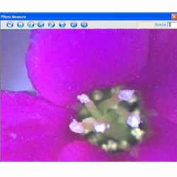 Image of a flower taken by  the PCE-MM 200 Microscope.