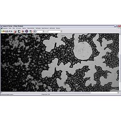 PCE-TM 2000 laboratory microscope: Here is a black and white image at a magnification of 200x.