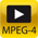 IR camera Flir B series with MPEG-4 video function.