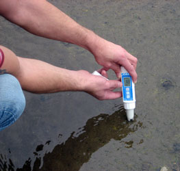 PCE-PH 22 pH meter: water resistant for quick results