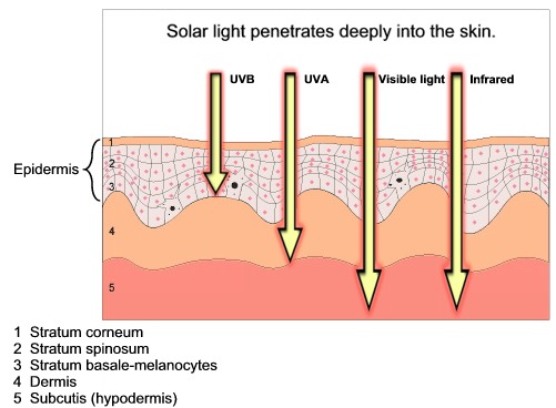 measurement of the influence of solar radiation on skin