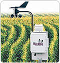 Watchdog rain gauge for temperature (with wide memory and large display).