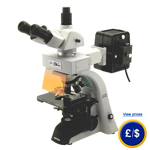 School microscope B-353FL